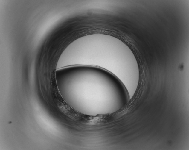 X0000116000382200911191220