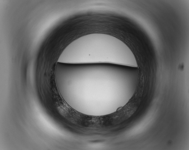 X0000116000383200911191220