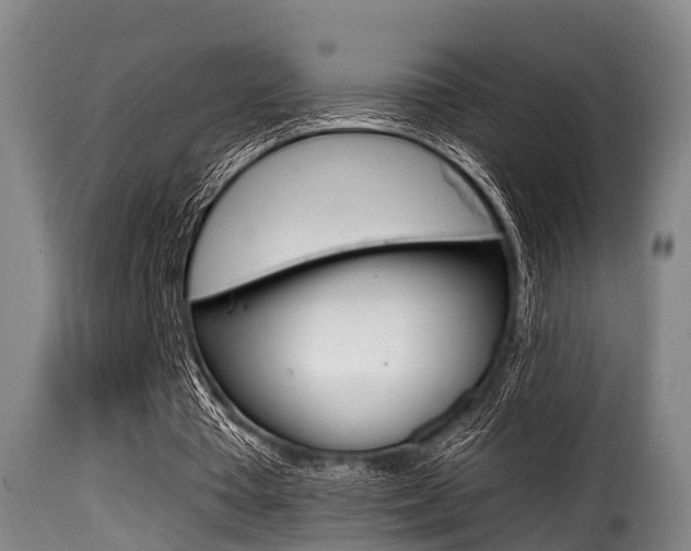 X0000116000385200911191219