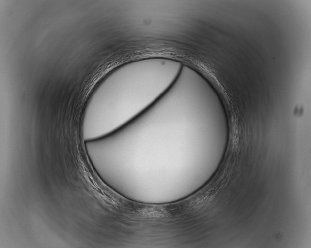 X0000116000386200911191219