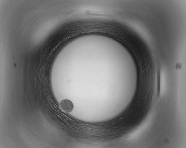 X0000116000387200911191219