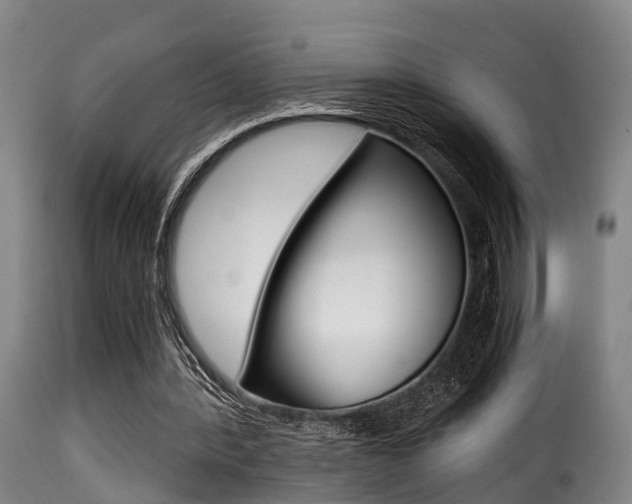 X0000116000388200911191219