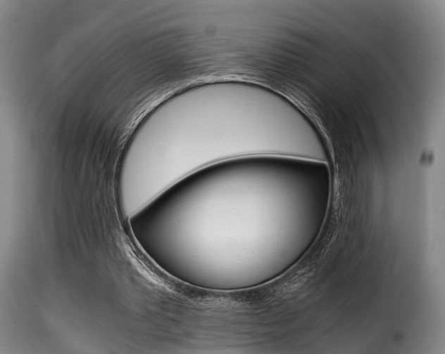 X0000116000389200911191219