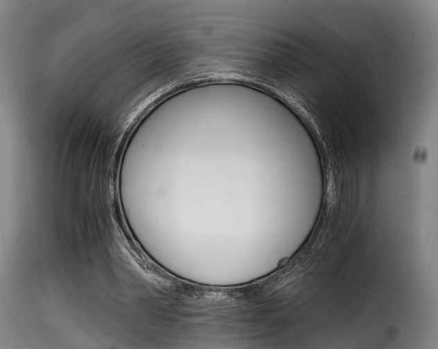 X0000116000390200911191219