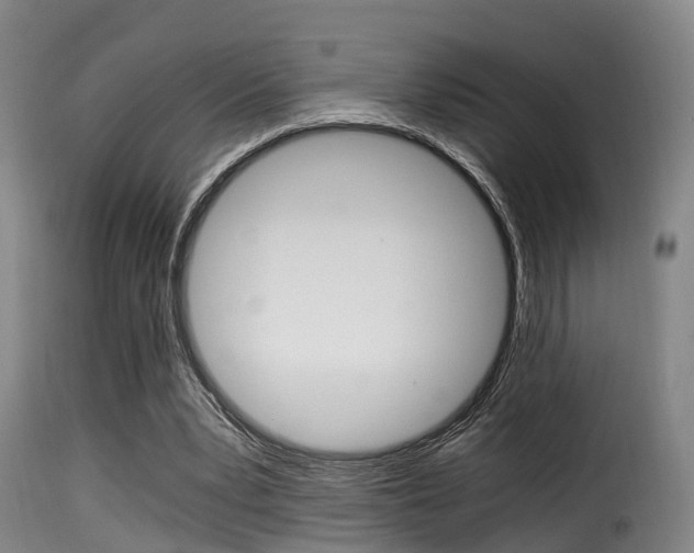 X0000116000391200911191219