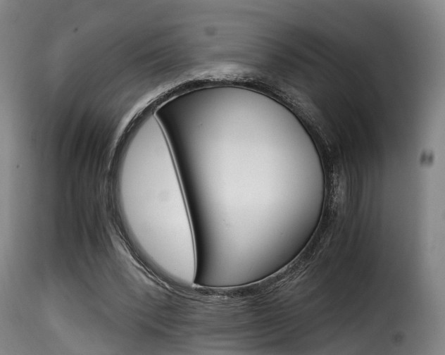 X0000116000392200911191219