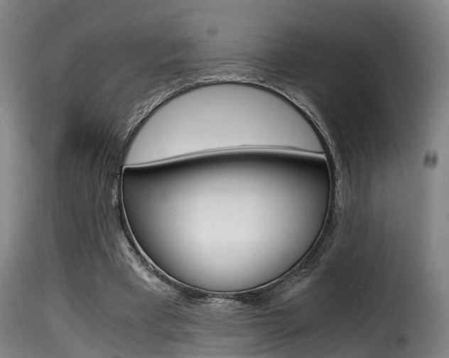 X0000116000393200911191219