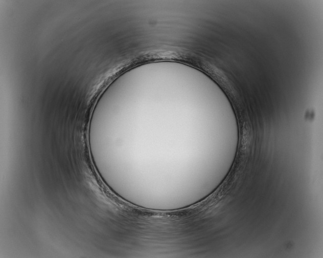 X0000116000394200911191219