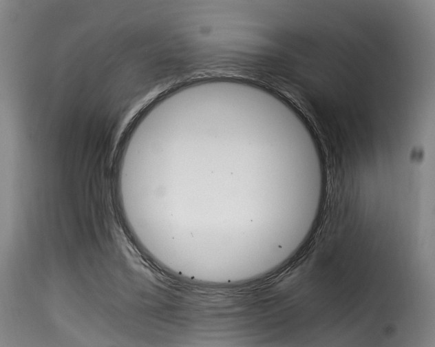 X0000116000395200911191219