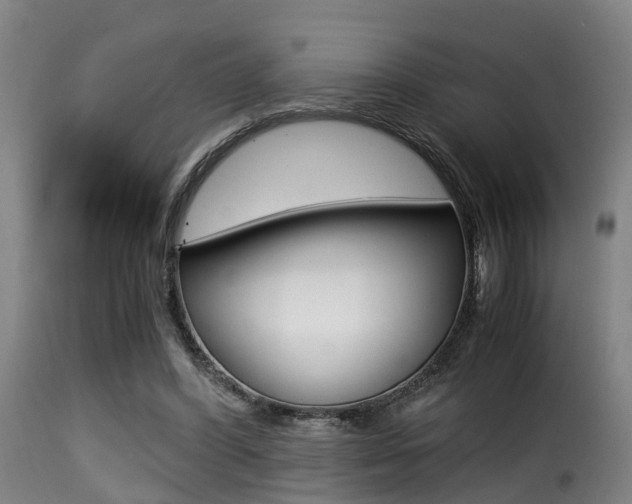 X0000116000396200911191219