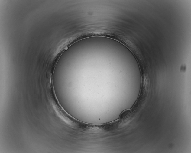 X0000116000397200911191219