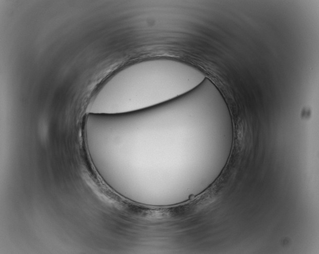 X0000116000398200911191219