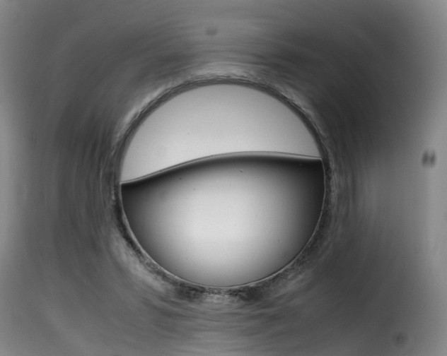 X0000116000399200911191219