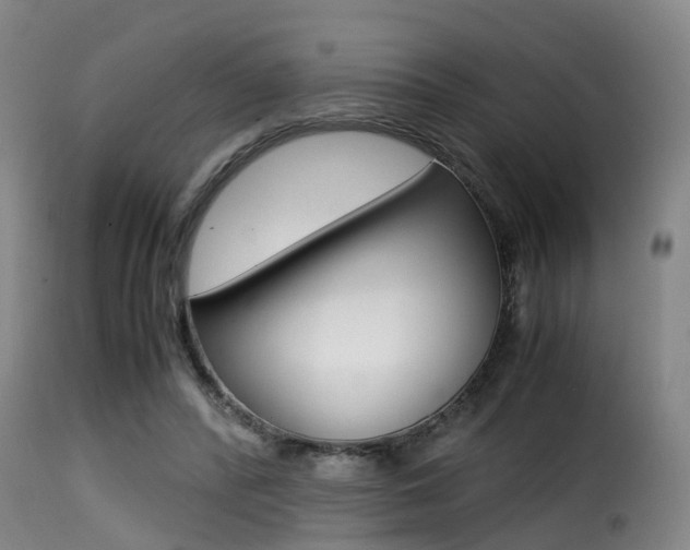 X0000116000400200911191219