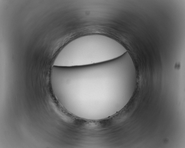 X0000116000402200911191219