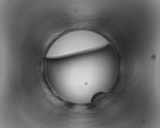 X0000116000403200911191218