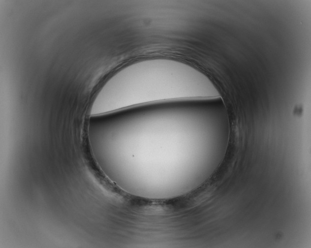 X0000116000404200911191218