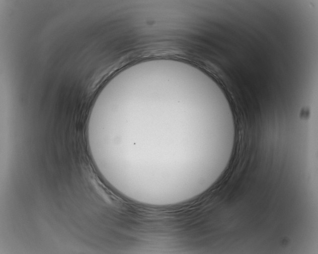 X0000116000405200911191218