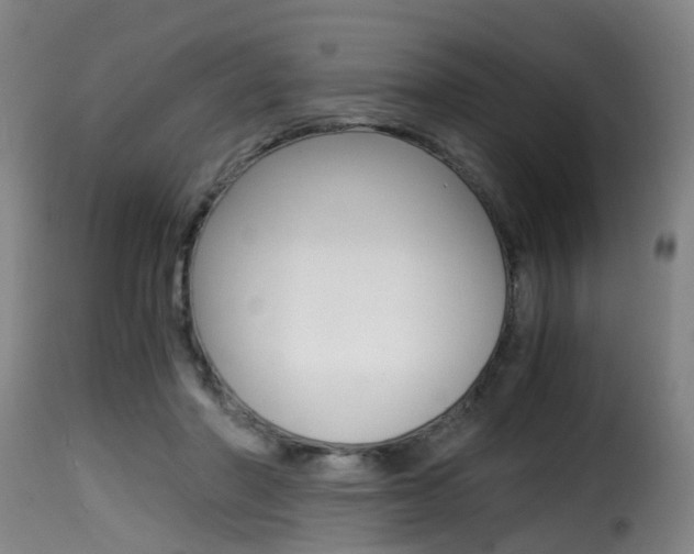 X0000116000406200911191218