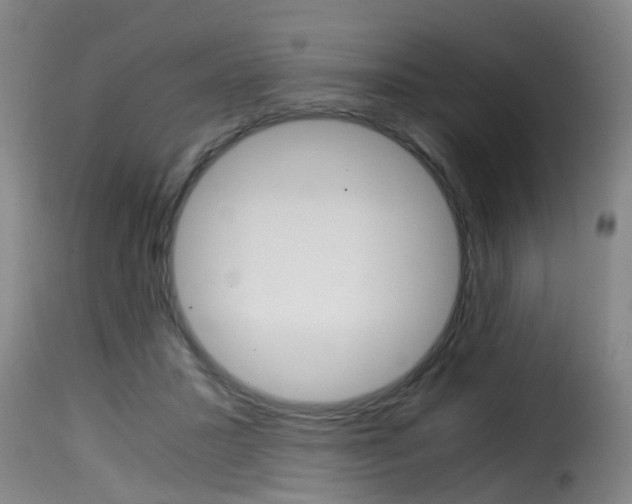 X0000116000407200911191218