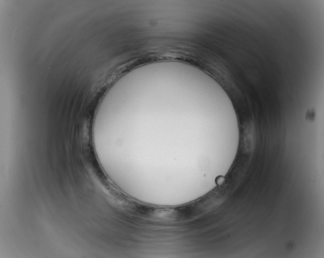 X0000116000410200911191218