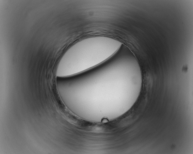 X0000116000412200911191218