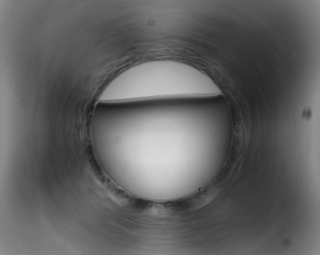 X0000116000416200911191218