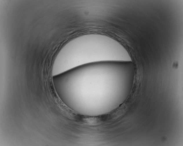 X0000116000417200911191218