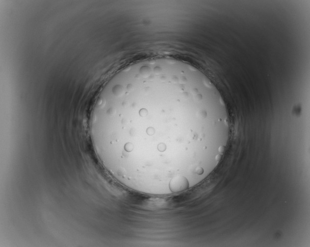 X0000116000418200911191218