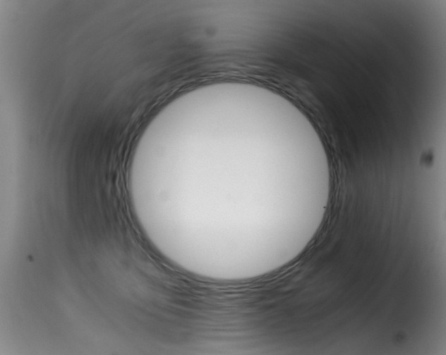 X0000116000419200911191218