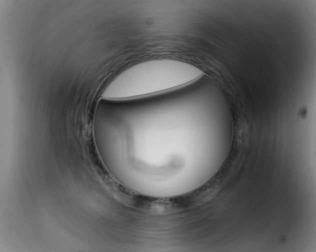 X0000116000420200911191218