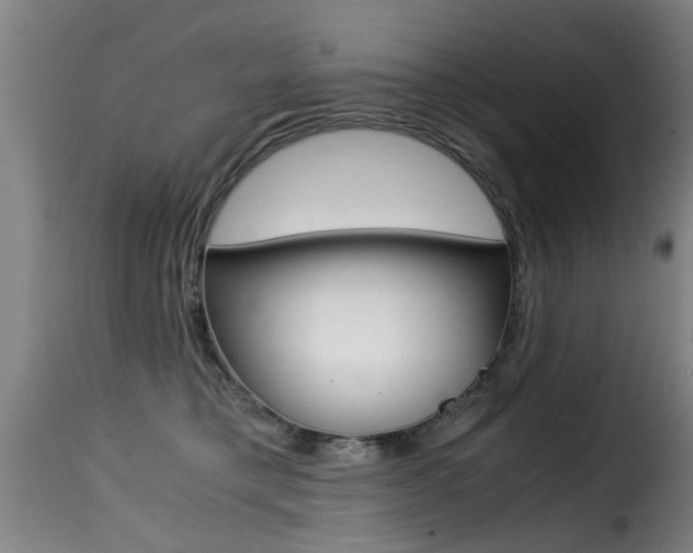 X0000116000421200911191218