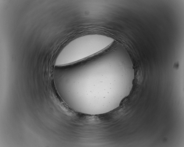 X0000116000424200911191218