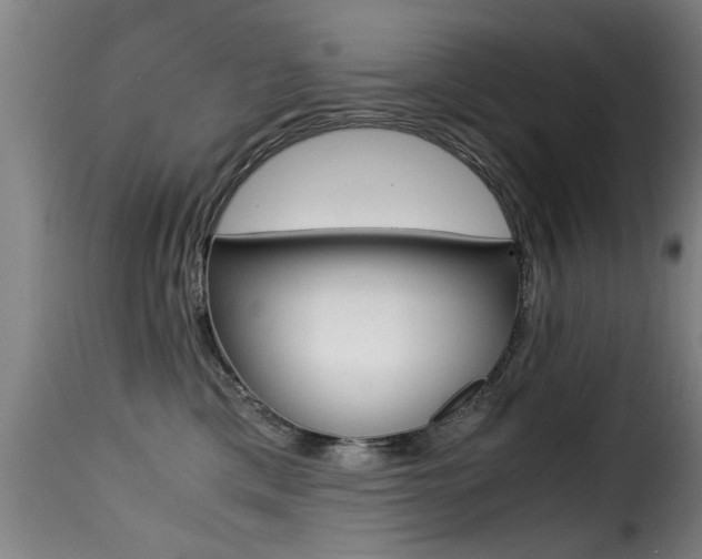 X0000116000425200911191218