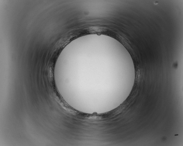 X0000116000426200911191218