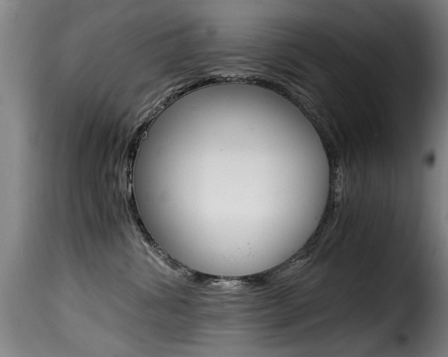 X0000116000428200911191218