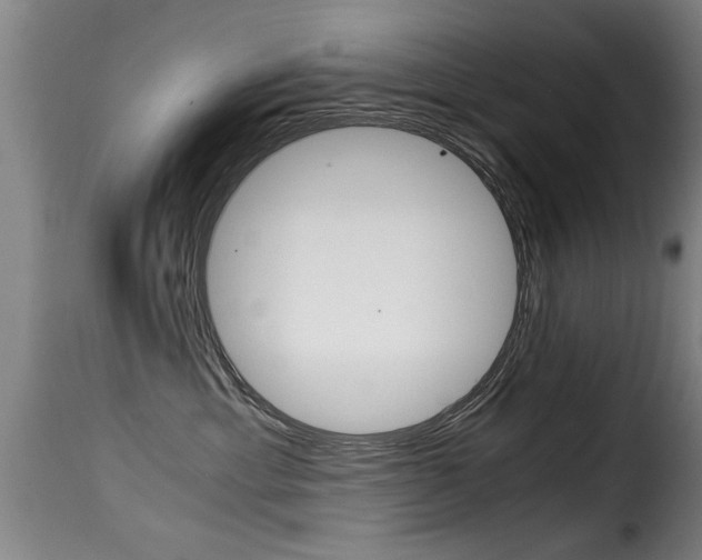 X0000116000429200911191218