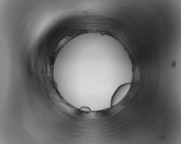 X0000116000430200911191218