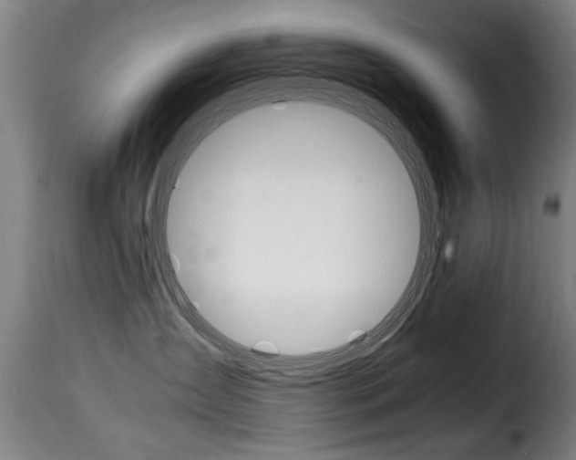 X0000116000431200911191218