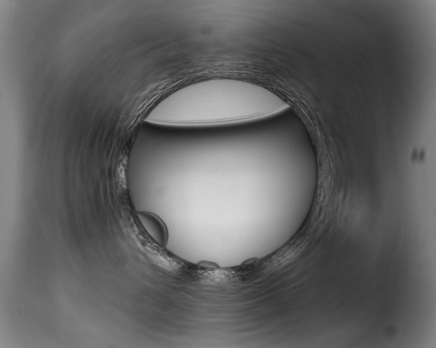 X0000116000432200911191218