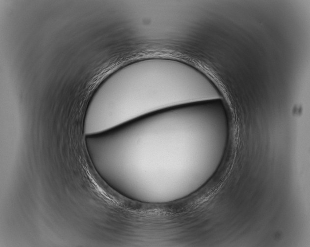 X0000116000433200911191217