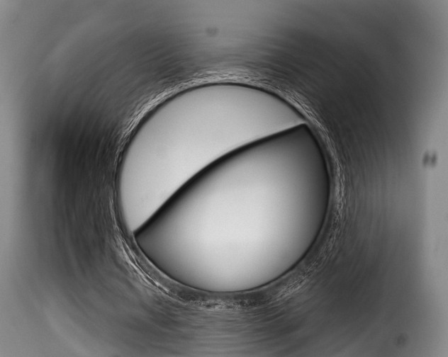 X0000116000434200911191217