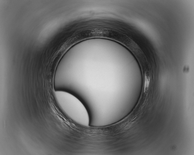 X0000116000435200911191217