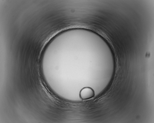 X0000116000436200911191217