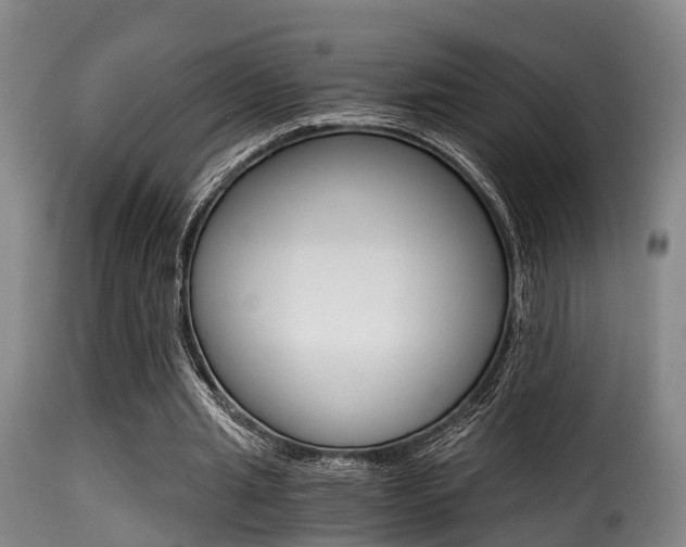 X0000116000437200911191217