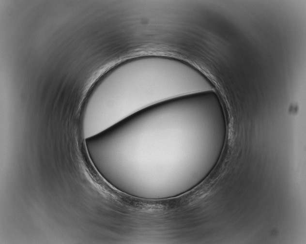 X0000116000438200911191217