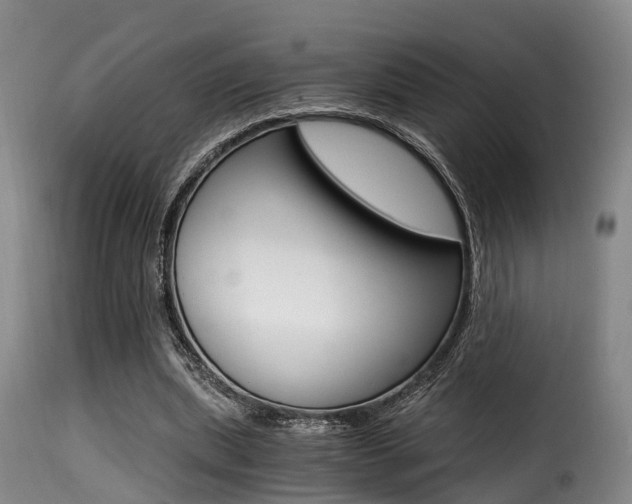 X0000116000439200911191217