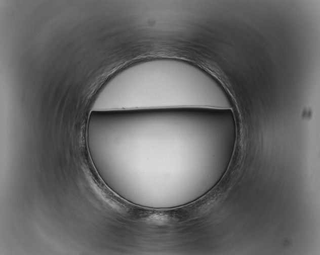 X0000116000441200911191217