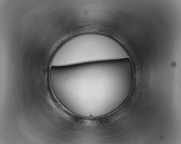 X0000116000442200911191217