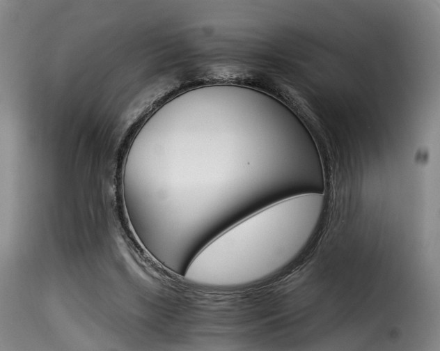 X0000116000443200911191217